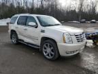 2009 Cadillac Escalade Hybrid