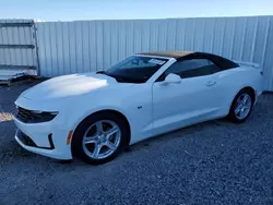 Salvage cars for sale at Riverview, FL auction: 2023 Chevrolet Camaro LS