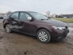 2010 KIA Forte EX