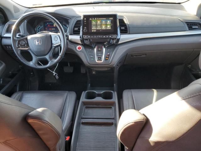 2019 Honda Odyssey EXL