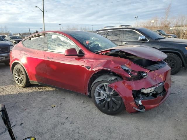 2024 Tesla Model Y