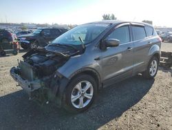 2014 Ford Escape SE en venta en Antelope, CA