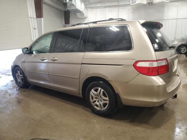 2005 Honda Odyssey EXL