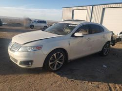 Salvage cars for sale at Albuquerque, NM auction: 2009 Lincoln MKS