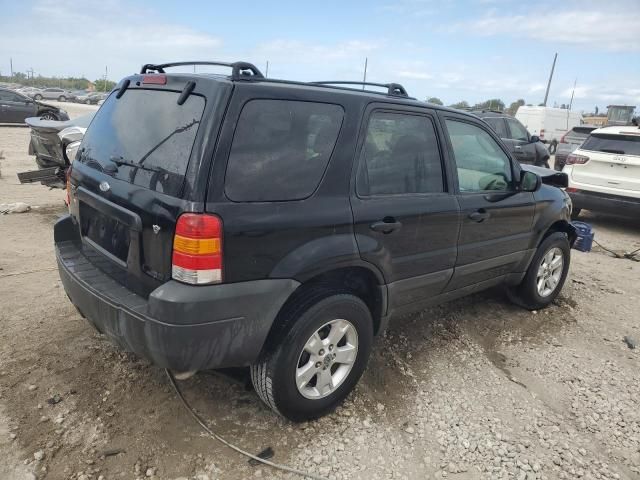 2006 Ford Escape XLT