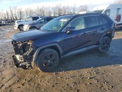 Salvage cars for sale at Baltimore, MD auction: 2020 Toyota Rav4 XLE