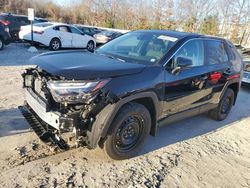 Toyota rav4 salvage cars for sale: 2024 Toyota Rav4 LE