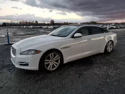 Jaguar xj Vehiculos salvage en venta: 2016 Jaguar XJL Portfolio