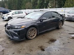 Salvage cars for sale at Arlington, WA auction: 2023 Toyota Camry SE Night Shade