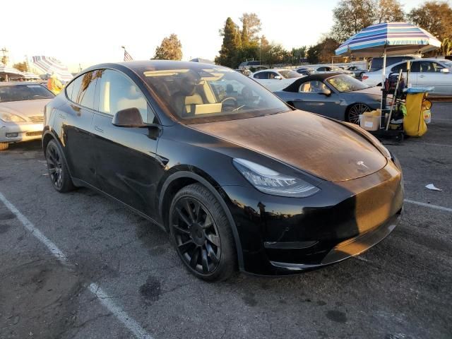 2020 Tesla Model Y