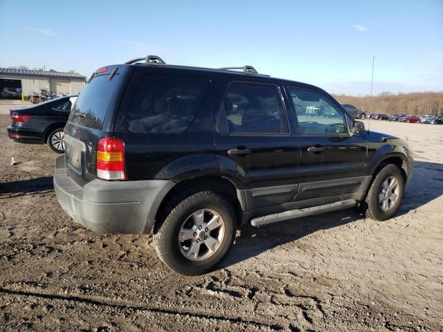 2006 Ford Escape XLT