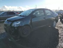 Salvage cars for sale at Eugene, OR auction: 2010 Toyota Yaris