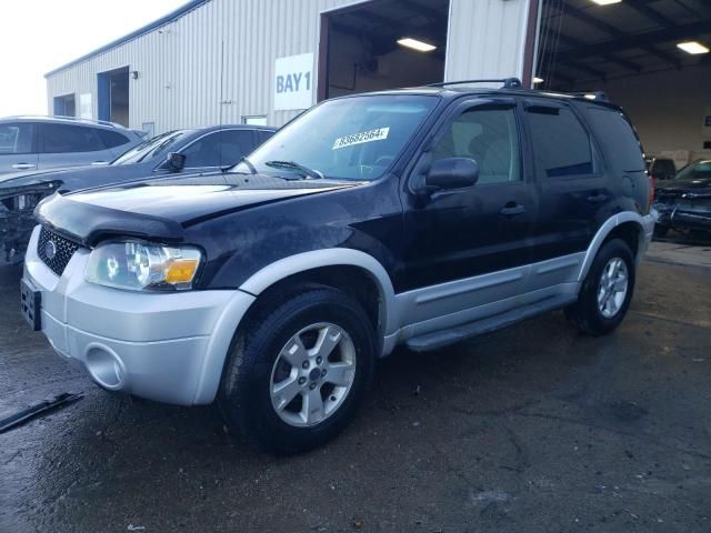 2007 Ford Escape XLT