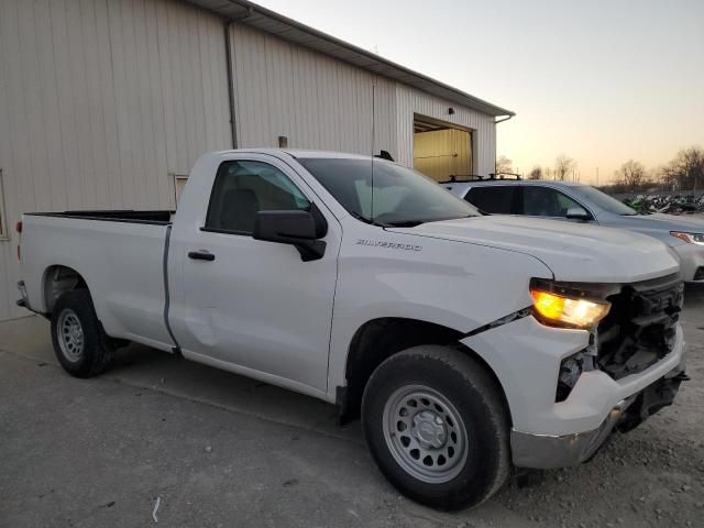 2024 Chevrolet Silverado C1500