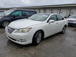 Lexus es 350 salvage cars for sale: 2010 Lexus ES 350