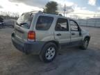 2005 Ford Escape XLT