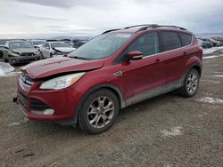 Ford salvage cars for sale: 2013 Ford Escape SEL