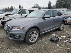 Audi salvage cars for sale: 2014 Audi Q5 Premium Plus