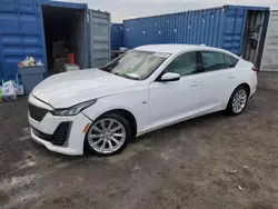 Salvage cars for sale at Arcadia, FL auction: 2020 Cadillac CT5 Luxury