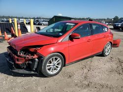 Ford Focus se salvage cars for sale: 2016 Ford Focus SE