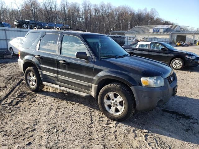 2006 Ford Escape XLT