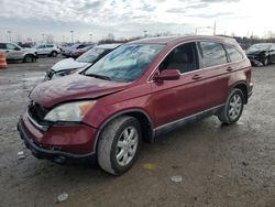 Salvage cars for sale at Indianapolis, IN auction: 2008 Honda CR-V EXL