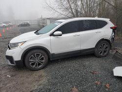 Honda crv salvage cars for sale: 2020 Honda CR-V EXL