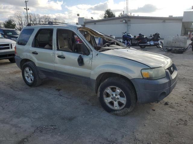 2005 Ford Escape XLT