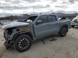 Nissan salvage cars for sale: 2024 Nissan Frontier S