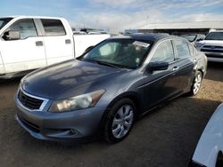 2008 Honda Accord EXL en venta en Brighton, CO