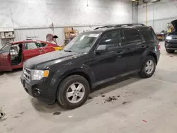 Ford Escape salvage cars for sale: 2011 Ford Escape XLT