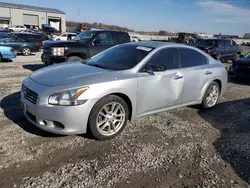 Nissan salvage cars for sale: 2009 Nissan Maxima S