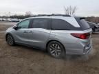 2025 Honda Odyssey EXL