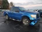 2013 Ford F150