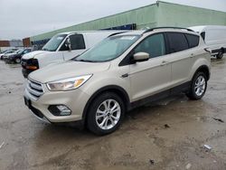 Salvage cars for sale at Columbus, OH auction: 2018 Ford Escape SE