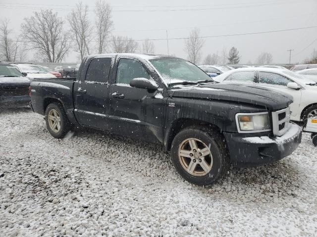 2011 Dodge Dakota SLT