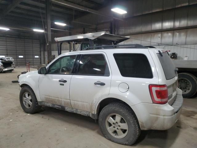 2010 Ford Escape XLT