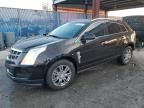 2011 Cadillac SRX Luxury Collection