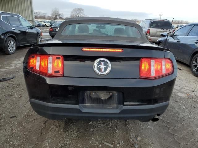 2010 Ford Mustang