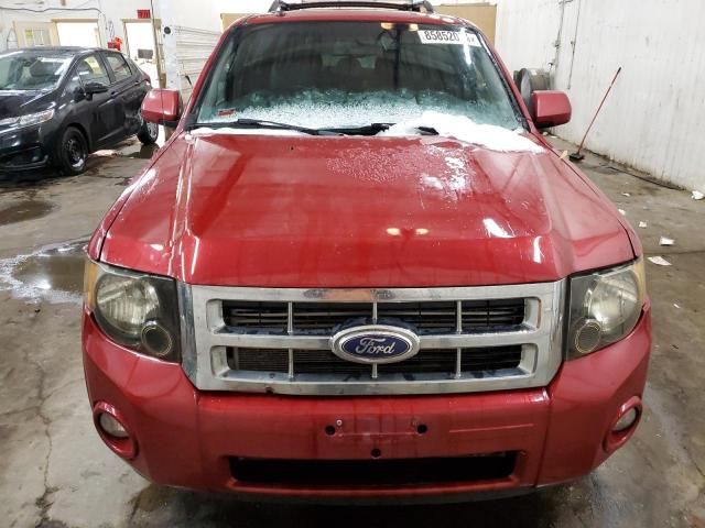 2011 Ford Escape Limited