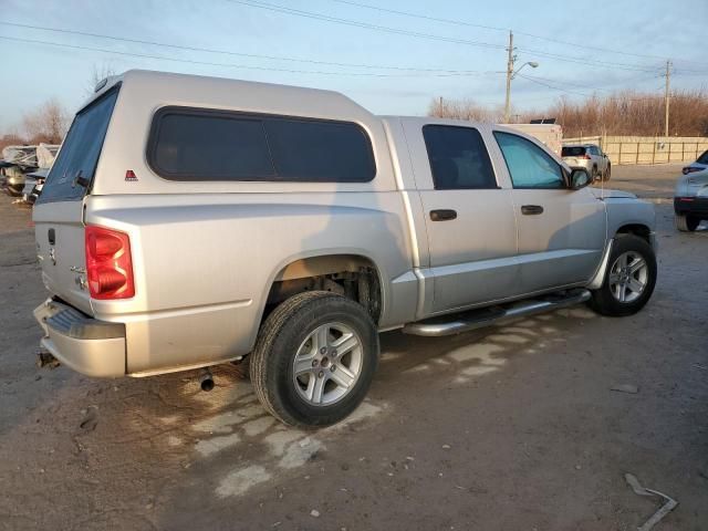 2010 Dodge Dakota SXT