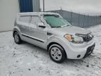 2010 KIA Soul