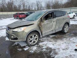 2013 Ford Escape SEL en venta en Ellwood City, PA