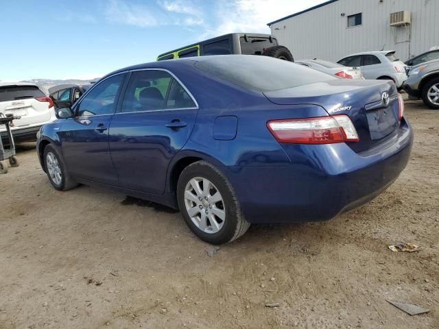 2009 Toyota Camry Hybrid