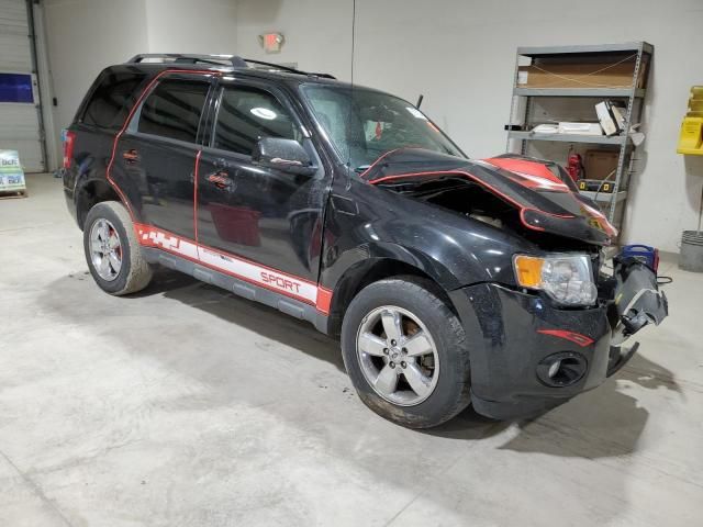 2011 Ford Escape Limited