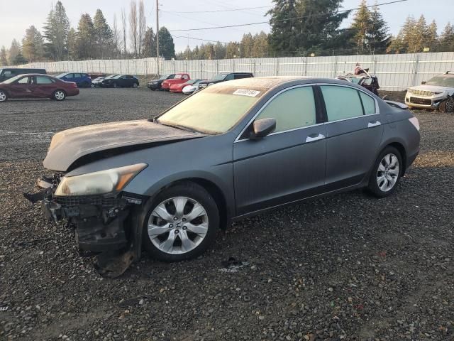 2008 Honda Accord EXL