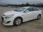 2015 Hyundai Sonata Hybrid