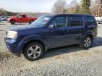 2013 Honda Pilot EXL