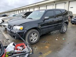 Salvage cars for sale at Louisville, KY auction: 2005 Ford Escape Limited