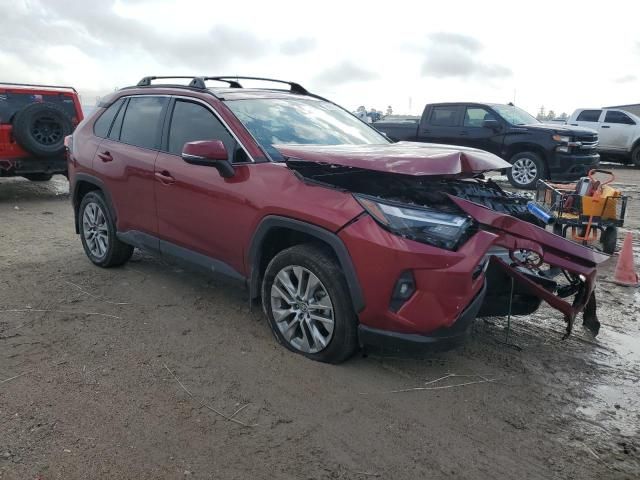 2023 Toyota Rav4 XLE Premium